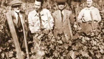 нашата нашата