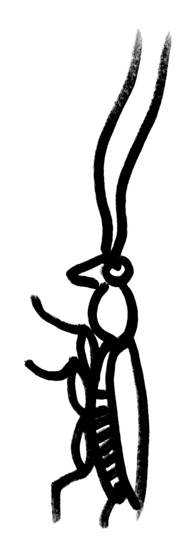 якубик