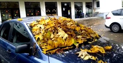grădiniță elementară