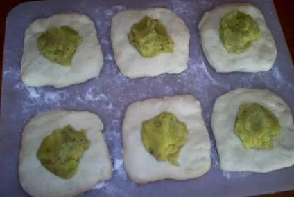 пълнени