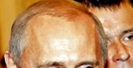 toți