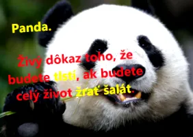 dietă sănătoasă