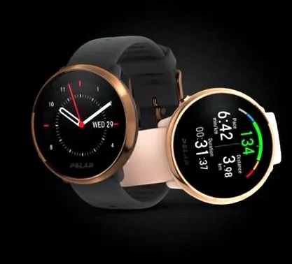 Polar Vantage polar