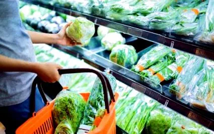 alimente procesate prefabricate