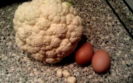 paleo foto