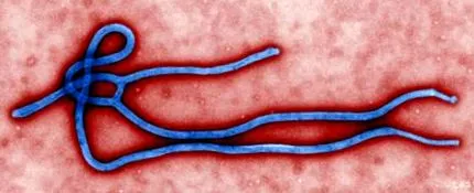 ebola potrivit