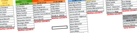 Capacitate maxim copii Capacitate maxim copii