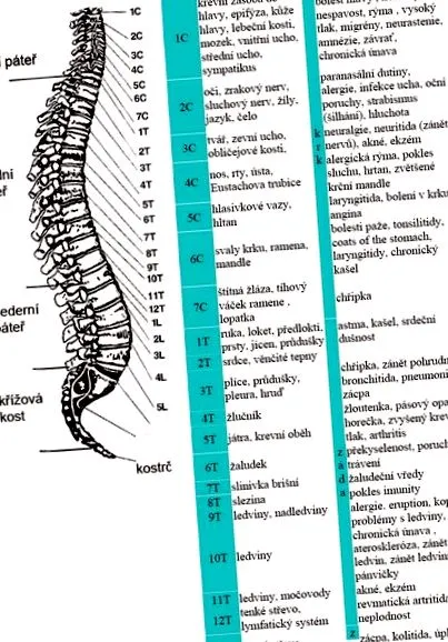 psihosomatica coloanei