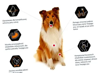 eshop purina