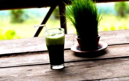 nutriție