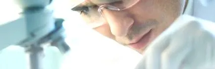 segmente