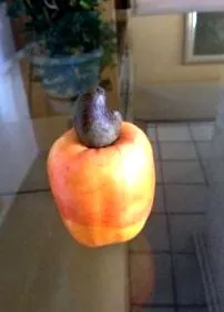 supercrop