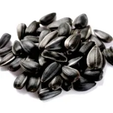 negre