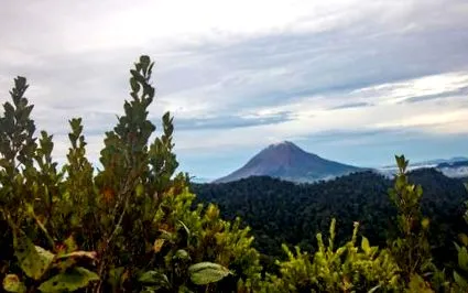 indonesia
