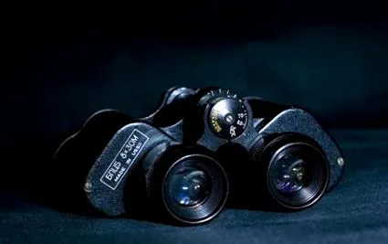 privat detectiv