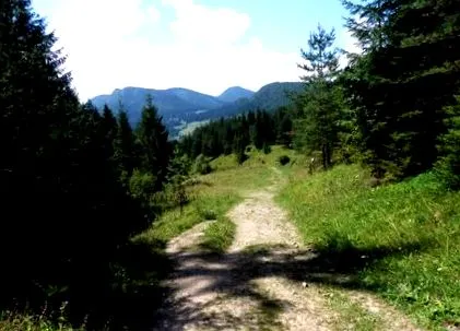 mergeți veľký