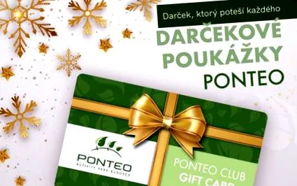 ponteo
