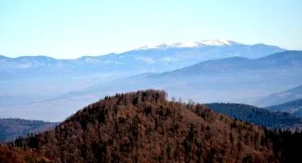 центъра