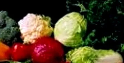 dieta