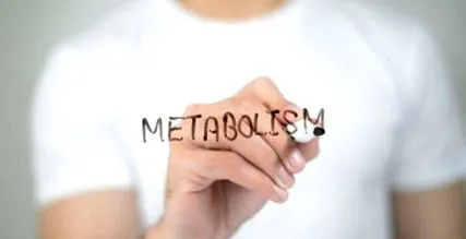 метаболизъм