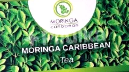 Moringa Caribbean