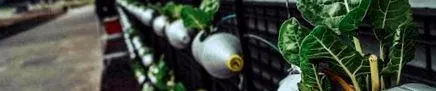 billa reciclarea