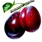 kemény