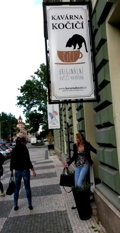 отпускате