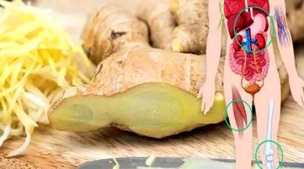 mănânci știi