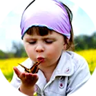 holistică