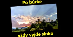 ceva vine