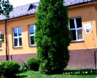 site-ul școala