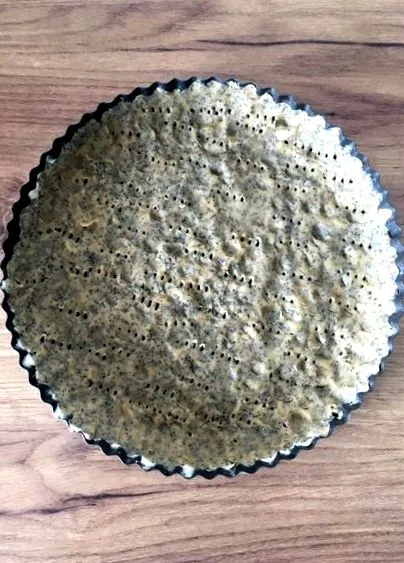 fitshaker tort