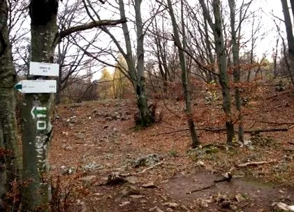 ruin hradisko