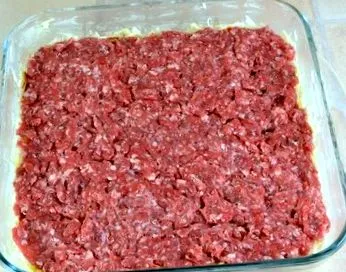 pudingja