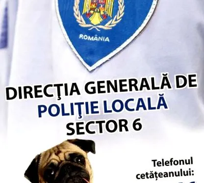 градско