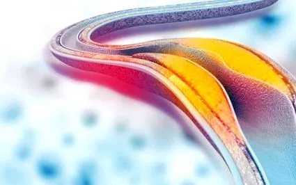alpha weboldala