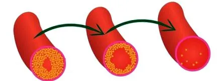 alpha weboldala