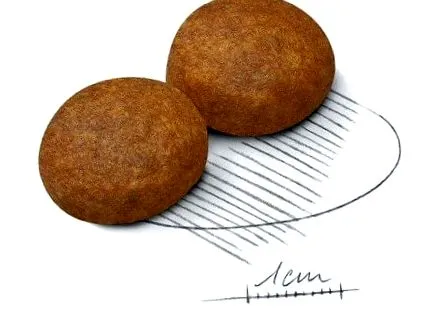 15kg