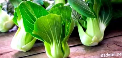 vegetariene