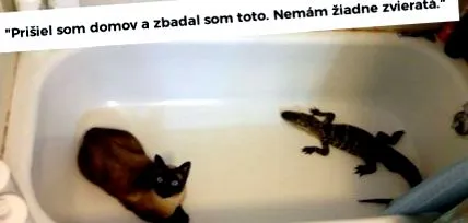 които снимки