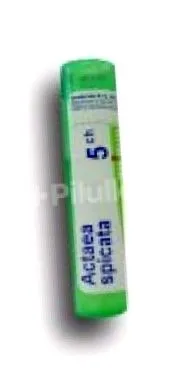 spicata care afectează