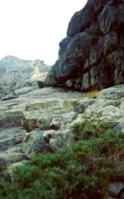 ne-am