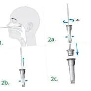 sars-cov-2