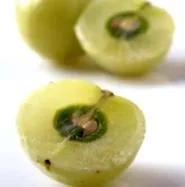 AMALAKI Fruct ayurvedic