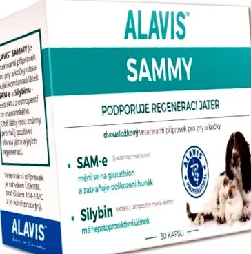 sammy