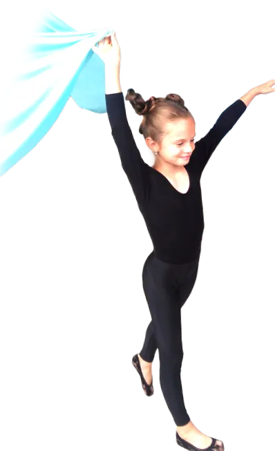 fly4fit