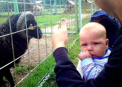 baby matej