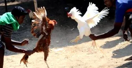 petrecere petrecere