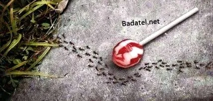 despre surprinzătoare